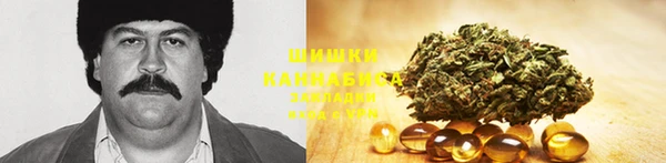 mdpv Осинники