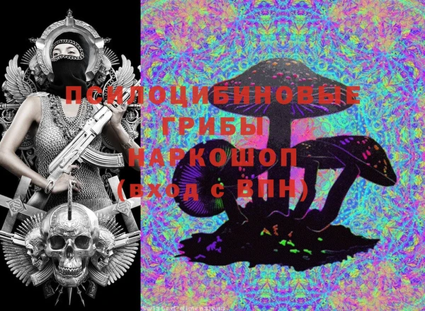 метадон Осташков