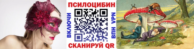 как найти закладки  Аргун  Галлюциногенные грибы прущие грибы 