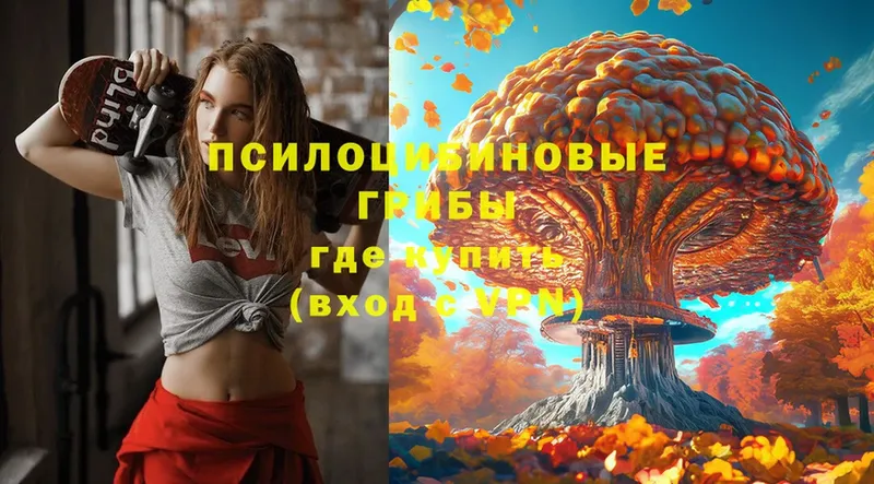 Галлюциногенные грибы Magic Shrooms  дарнет шоп  мориарти телеграм  Аргун 