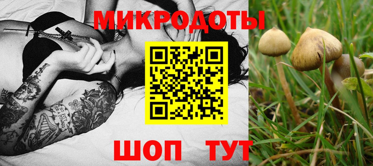 Галлюциногенные грибы Magic Shrooms  Псилоцибиновые грибы MAGIC MUSHROOMS  Вход с VPN  Аргун 