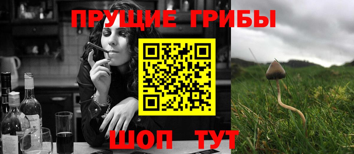 Псилоцибиновые грибы Magic Shrooms Аргун